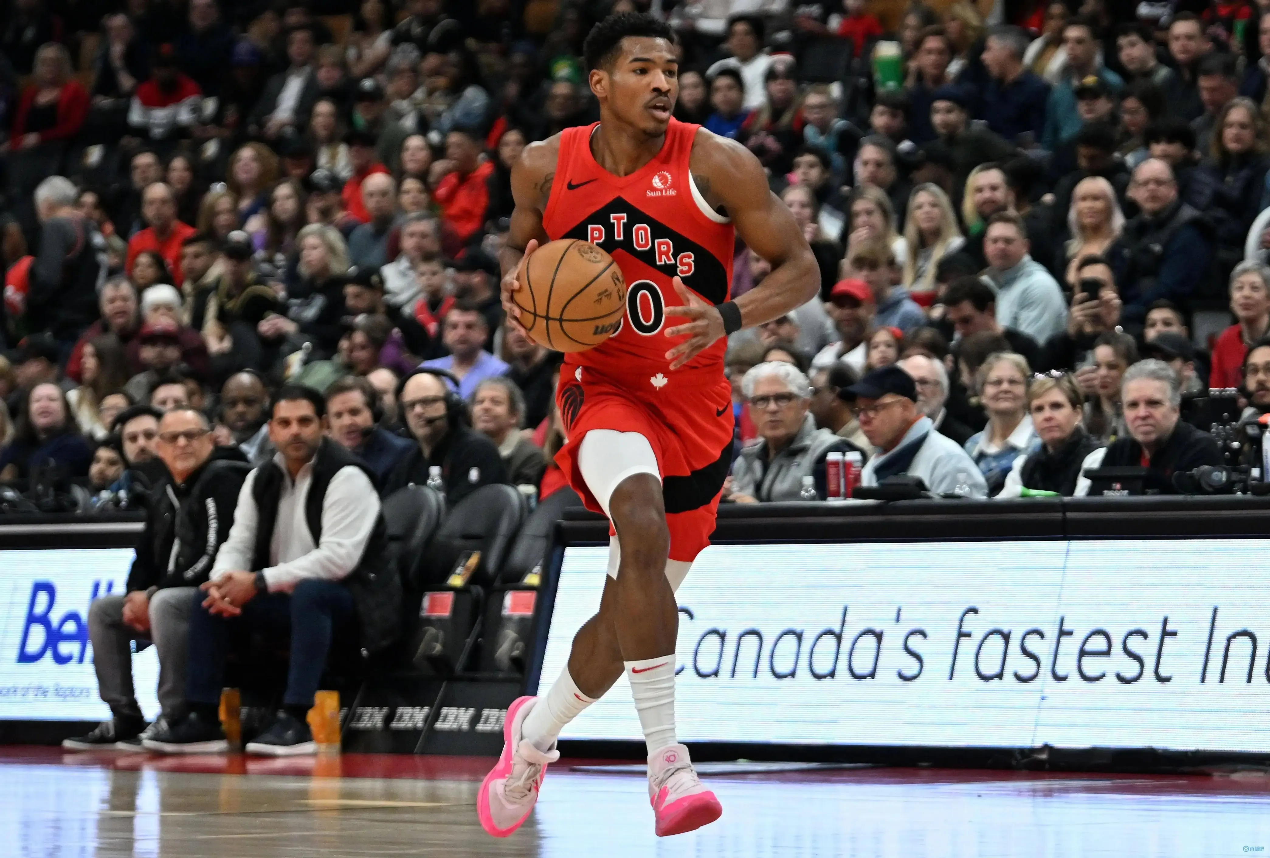 猛龙现在想 猛龙现在想