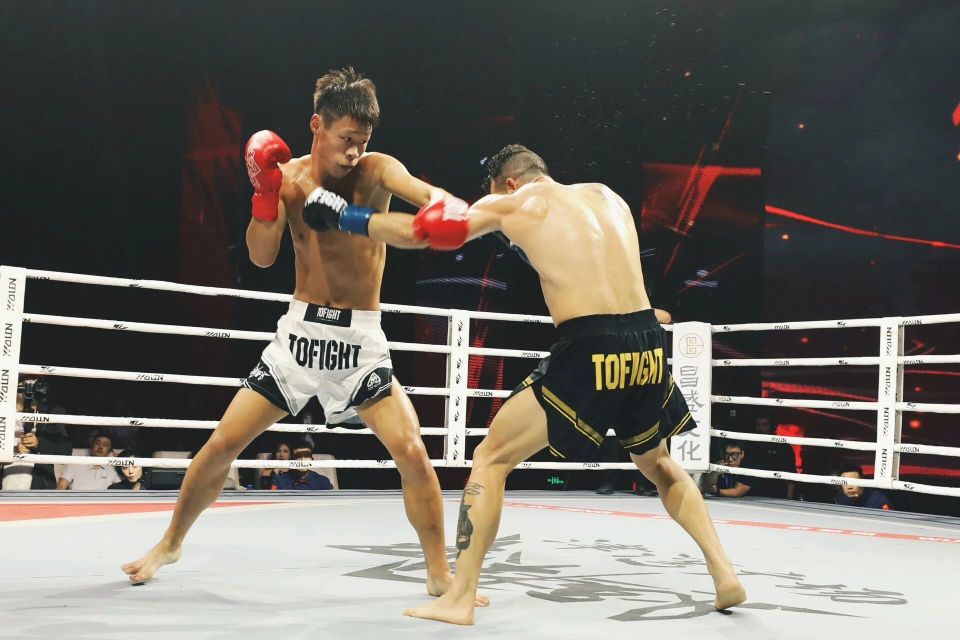 编辑, 为游客提供, https